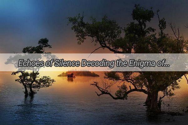 Echoes of Silence Decoding the Enigma of a Dreamless Dialogue